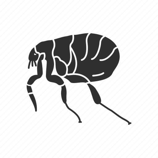 Animal, bloodsucker, flea, fleas, insect, insects, parasite icon - Download on Iconfinder