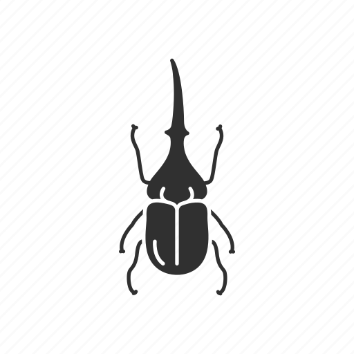 Animal, beetle, hercules beetle, insect, rhinoceros beetle, unicorn beetle icon - Download on Iconfinder
