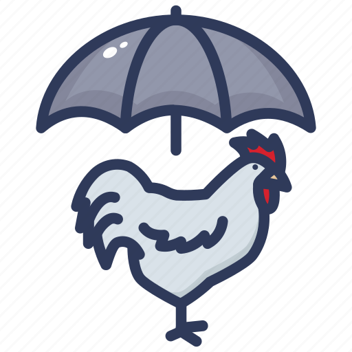 Insurance, poultry, poultry insurance, protection, safe, safety, secure poultry icon - Download on Iconfinder