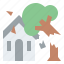 tree, disaster, house, accident, insurance