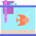 aquarium, fish 