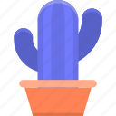 cactus, plant 