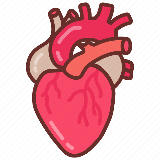 Heart, pump, muscular, organ, cardiac, tubes, arteries icon - Download on Iconfinder