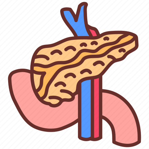 Pancreas, digestive, enzymes, part, system, medical, field icon - Download on Iconfinder