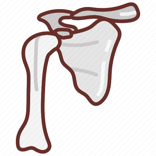 Scapula, winged, bone, humerus, joint, ac icon - Download on Iconfinder