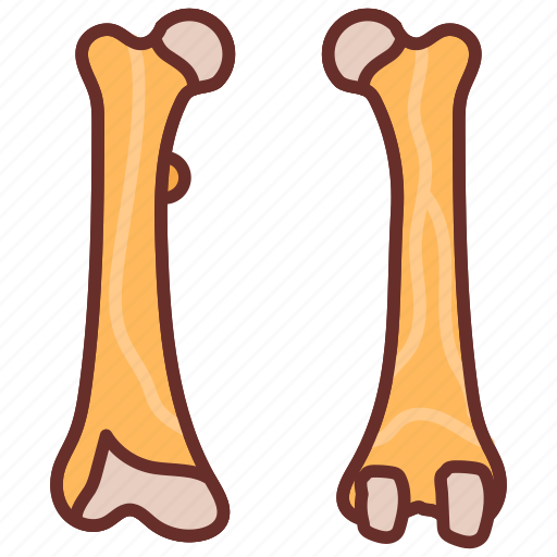Femur, thigh, bone, upper, leg, cannon, hip icon - Download on Iconfinder