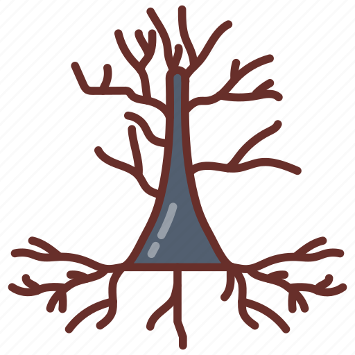 Pyramidal, cell, brain, nerve, dendrites icon - Download on Iconfinder