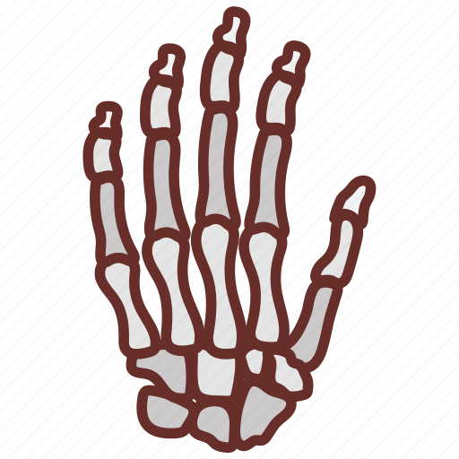 Hand, bone, structure, bones, fingers, finger icon - Download on Iconfinder