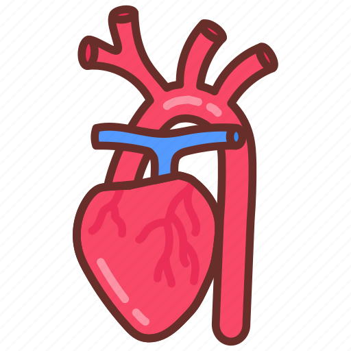 Brachiocephalic, artery, heart, human, organ, body, part icon - Download on Iconfinder