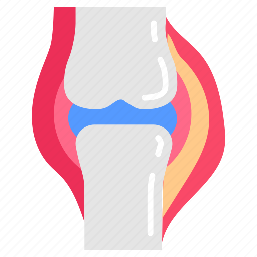 Joint, ankle, patella, articular, cavity, muscles, bone icon - Download on Iconfinder
