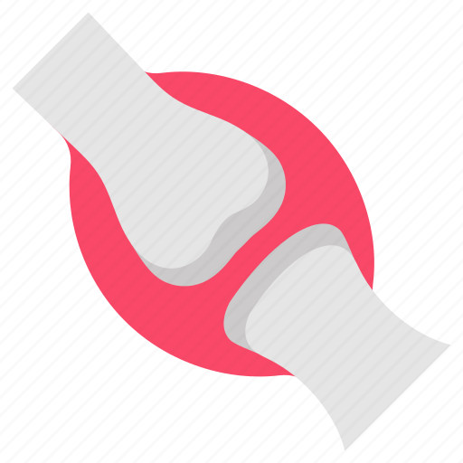 Cartilage, connective, tissue, elastic, bone, muscle icon - Download on Iconfinder