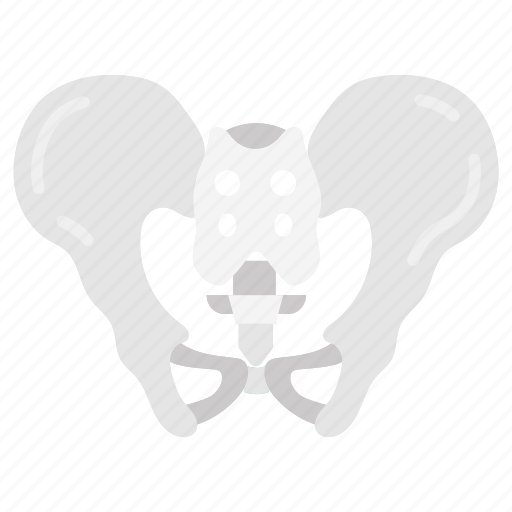 Pelvis, hip, bone, ilium, pubis icon - Download on Iconfinder