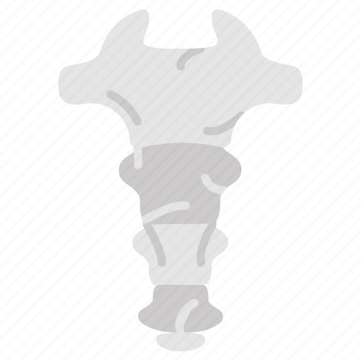 Coccyx, tailbone, bone, pelvis, tail, coccygeal icon - Download on Iconfinder