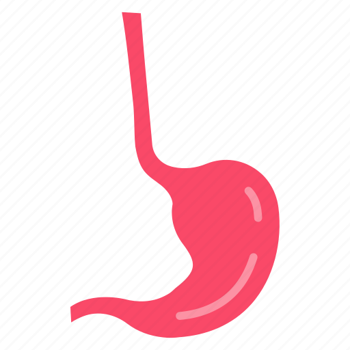 Esophagus, les, gerd, stomach, canal icon - Download on Iconfinder