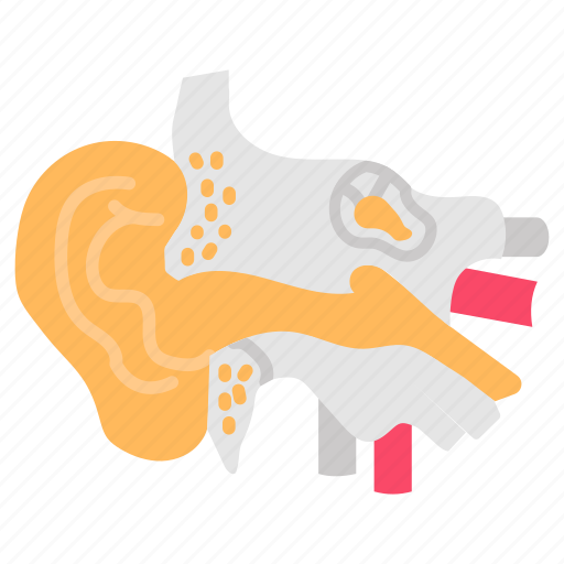 Ear, cochlea, otology, internal, structure icon - Download on Iconfinder