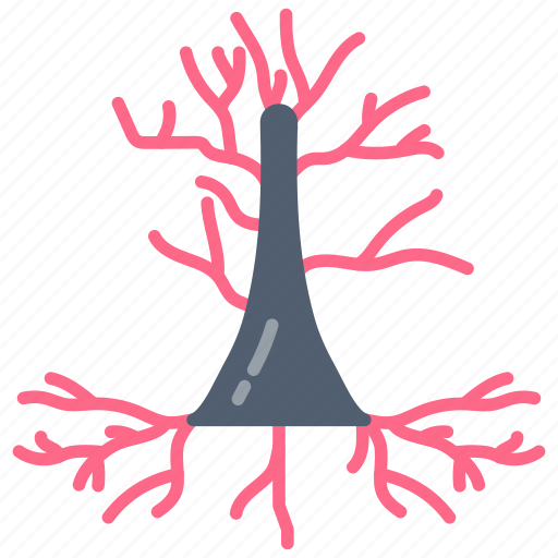 Pyramidal, cell, brain, nerve, dendrites icon - Download on Iconfinder