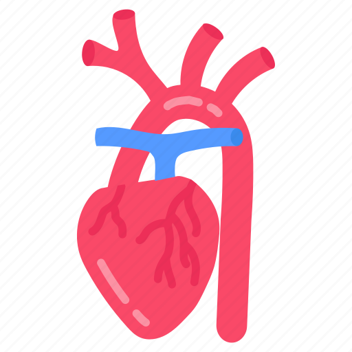 Brachiocephalic, artery, heart, human, organ, body, part icon - Download on Iconfinder