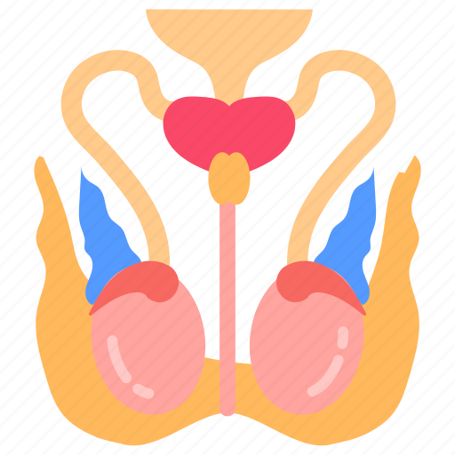 Thoracic, muscles, cage, rib, eleven, pairs, front icon - Download on Iconfinder