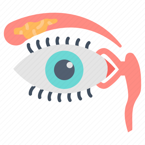 Optic, chiasm, eyes, nerve, occipital, lobes, brain icon - Download on Iconfinder