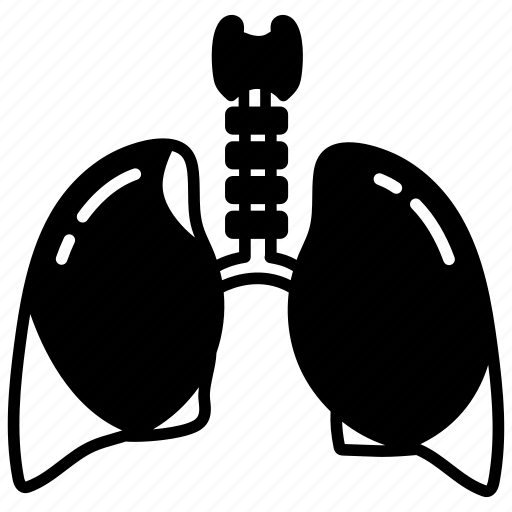Lungs, respiratory, oxygenation, cancer, breathing, system, body icon - Download on Iconfinder