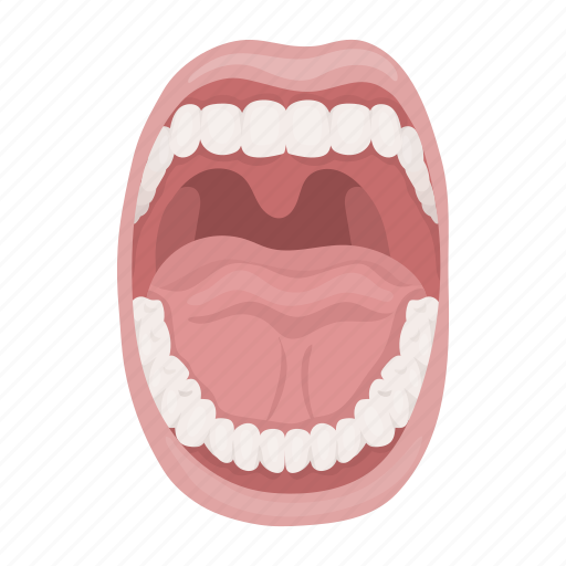 Anatomy, internal, medicine, mouth, organ, person, tongue icon - Download on Iconfinder