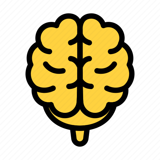 Brain, mind, human, internal, organ icon - Download on Iconfinder