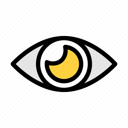 Eye, retina, human, internal, face icon - Download on Iconfinder