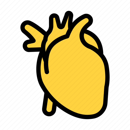 Heart, human, body, internal, organ icon - Download on Iconfinder