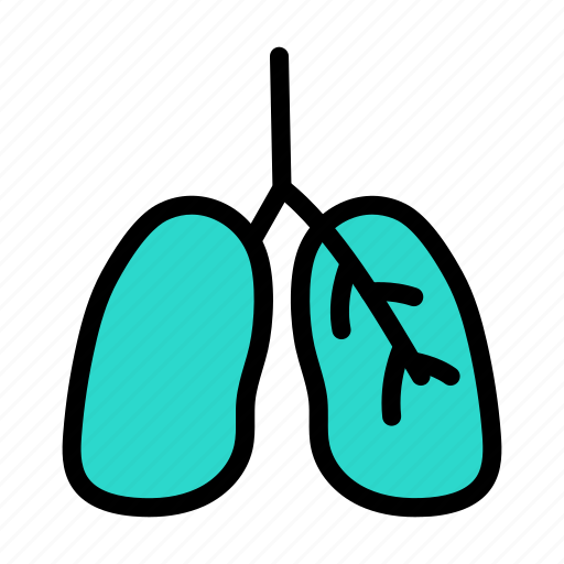 Lungs, breath, internal, organ, body icon - Download on Iconfinder