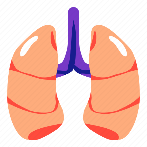 Lung, body, organs, internal, human icon - Download on Iconfinder