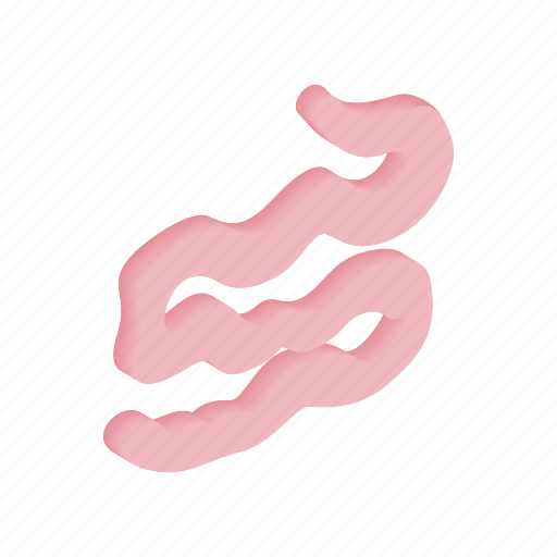 Body, digestive, intestine, isometric, medical, small, system icon - Download on Iconfinder