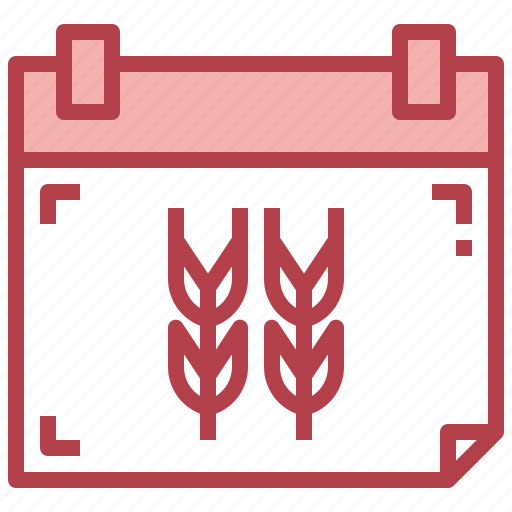 Rice, calendar, food, grain, wheat icon - Download on Iconfinder