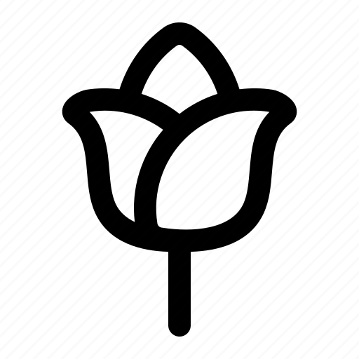 Flower, plant, blossom, rose, nature, floral icon - Download on Iconfinder