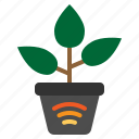 internet, iot, nature, things, wifi