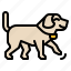 dog, collar, sensor, movement, technology, internet 