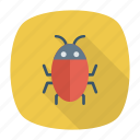 beetle, bug, insect, virus