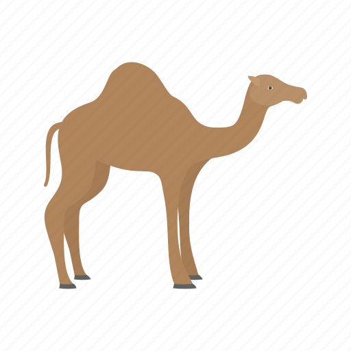 Arab, camel, culture, desert, sand, tradition, travel icon - Download on Iconfinder