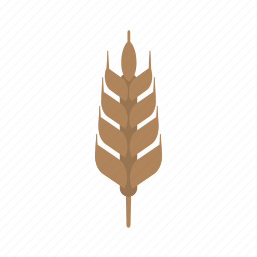 Food, harvest, healthy, natural, plant, summer, wheat icon - Download on Iconfinder
