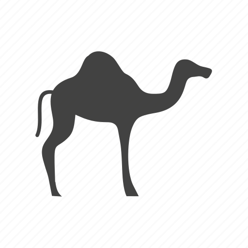 Arab, camel, culture, desert, sand, tradition, travel icon - Download on Iconfinder