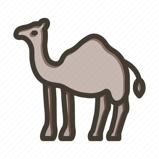 Camel, egypt, sand, wild, desert, zoo icon - Download on Iconfinder
