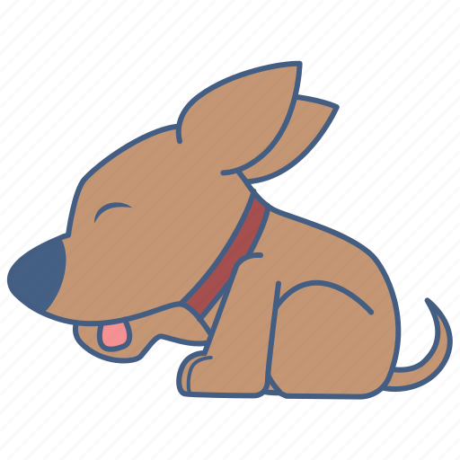 Chihuahua, animal, character, cartoon, sticker, cute sticker - Download on Iconfinder