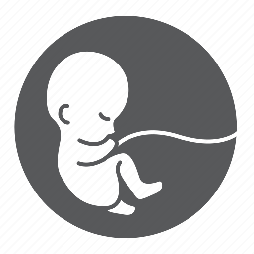 Fetus, embryo, pregnancy, baby, womb, stage icon - Download on Iconfinder