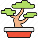 bonsai, tree, japan, japanese, nature