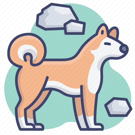 Japanese, dog, pet, shiba icon - Download on Iconfinder