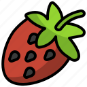 strawberry, fruit, berry, organic, natural