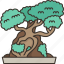 bonsai, tree, garden, plant, decoration 