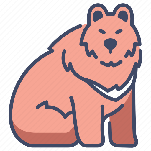 Animal, bear, fur, nature, wild, wildlife icon - Download on Iconfinder