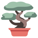 bonsai, garden, gardening, growth, japanese, leaf, tree