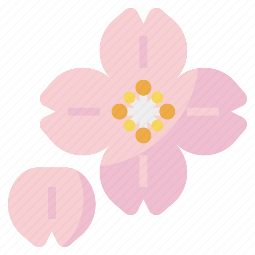 Bloom, blossom, cherry, floral, plant, spring icon - Download on Iconfinder