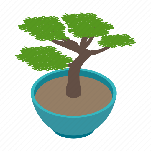 Asian, bonsai, isometric, japanese, plant, tree, vectior icon - Download on Iconfinder
